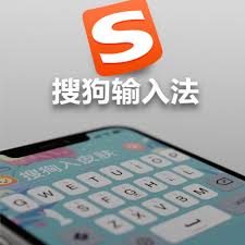 搜狗输入法皮肤无法应用？常被忽视的路径与权限问题